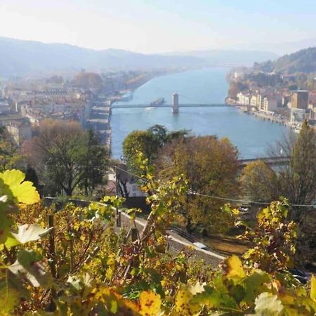 Appartement Vignes 2 Personnes ヴィエンヌ エクステリア 写真